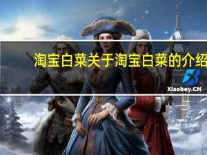 淘宝白菜 关于淘宝白菜的介绍