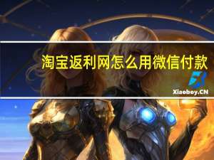淘宝返利网怎么用微信付款（淘宝返利网怎么用）