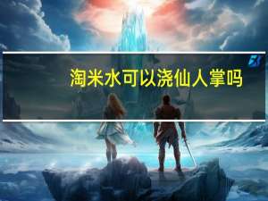 淘米水可以浇仙人掌吗