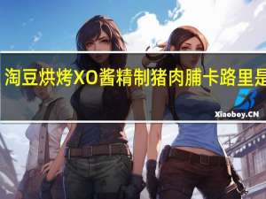 淘豆 烘烤XO酱精制猪肉脯卡路里是多少