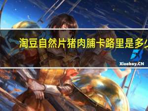 淘豆 自然片猪肉脯卡路里是多少