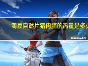 淘豆 自然片猪肉脯的热量是多少