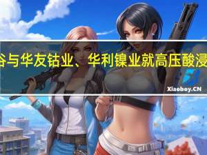 淡水河谷与华友钴业、华利镍业就高压酸浸项目达成合作