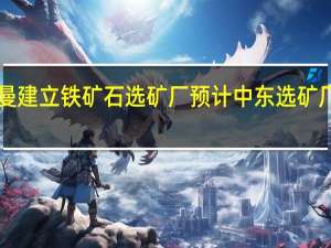 淡水河谷将在阿曼建立铁矿石选矿厂预计中东选矿厂将于2027年开始运营