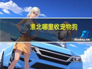 淮北哪里收宠物狗