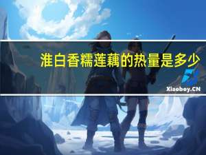 淮白 香糯莲藕的热量是多少