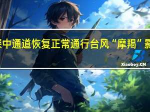 深中通道恢复正常通行 台风“摩羯”影响减弱