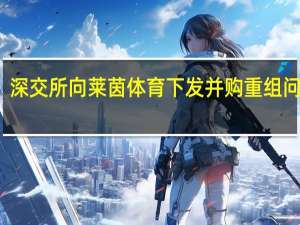 深交所向莱茵体育下发并购重组问询函