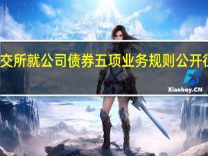 深交所就公司债券（含企业债券）五项业务规则公开征求意见