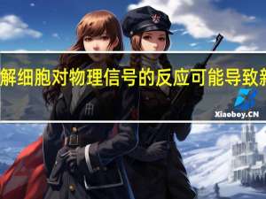 深入了解细胞对物理信号的反应可能导致新的疾病治疗