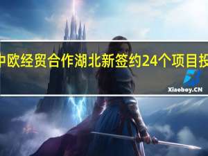 深化中欧经贸合作 湖北新签约24个项目投资超600亿