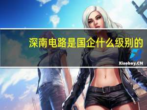 深南电路是国企什么级别的