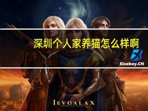 深圳个人家养猫怎么样啊
