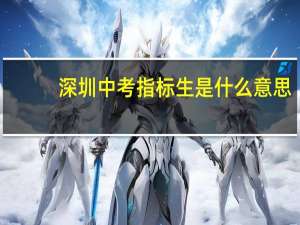 深圳中考 指标生是什么意思