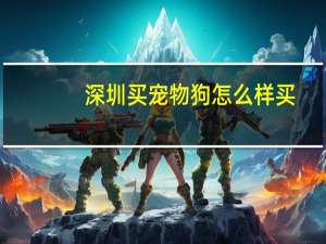 深圳买宠物狗怎么样买