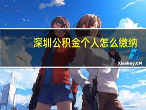 深圳公积金个人怎么缴纳