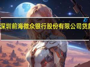 深圳前海微众银行股份有限公司贷款审批（深圳前海）