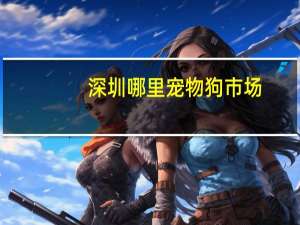 深圳哪里宠物狗市场