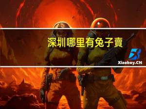 深圳哪里有兔子賣