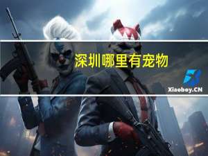 深圳哪里有宠物