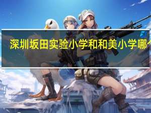 深圳坂田实验小学和和美小学哪个好