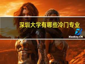 深圳大学有哪些冷门专业