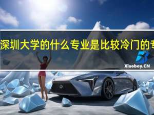 深圳大学的什么专业是比较冷门的专业呢