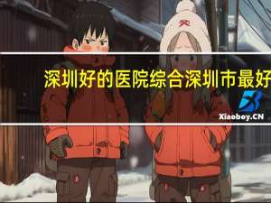 深圳好的医院 综合深圳市最好的一级公立医院有哪几间