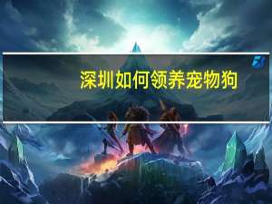 深圳如何领养宠物狗