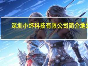 深圳小坏科技有限公司简介地址（深圳小坏科技有限公司简介）