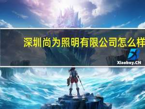 深圳尚为照明有限公司怎么样