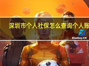 深圳市个人社保怎么查询个人账户（深圳社保怎么查询个人账户明细）