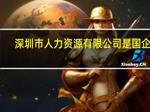 深圳市人力资源有限公司是国企吗