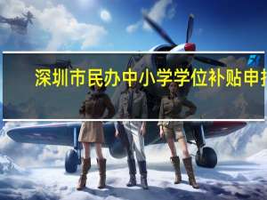 深圳市民办中小学学位补贴申报（深圳市民办中小学学位补贴申请表）