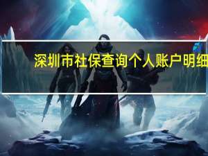 深圳市社保查询个人账户明细（深圳市社保查询个人账户）