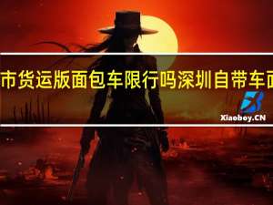 深圳市货运版面包车限行吗 深圳自带车面包车司机