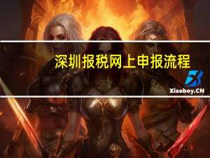 深圳报税网上申报流程