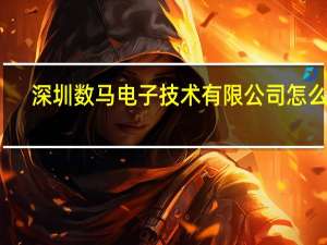 深圳数马电子技术有限公司怎么样