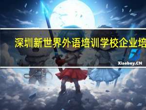 深圳新世界外语培训学校企业培训