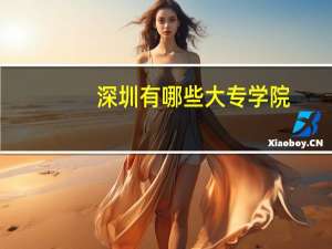 深圳有哪些大专学院