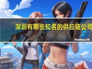 深圳有哪些知名的供应链公司？
