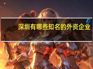 深圳有哪些知名的外资企业