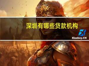 深圳有哪些贷款机构（深圳有哪些贷款公司）