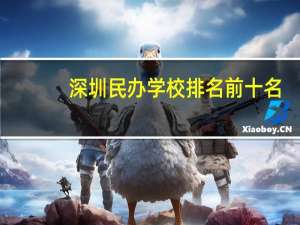 深圳民办学校排名前十名