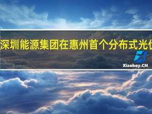 深圳港集团与深圳能源集团在惠州首个分布式光伏合作项目并网发电