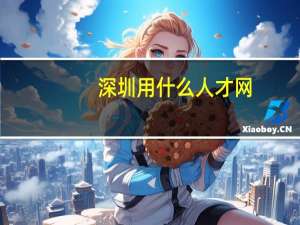 深圳用什么人才网