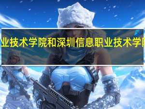 深圳职业技术学院和深圳信息职业技术学院有什么区别