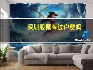 深圳股票有过户费吗