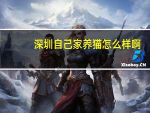 深圳自己家养猫怎么样啊