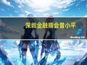 深圳金融商会 曾小平（曾光-深圳市互联网金融协会秘书长介绍）
